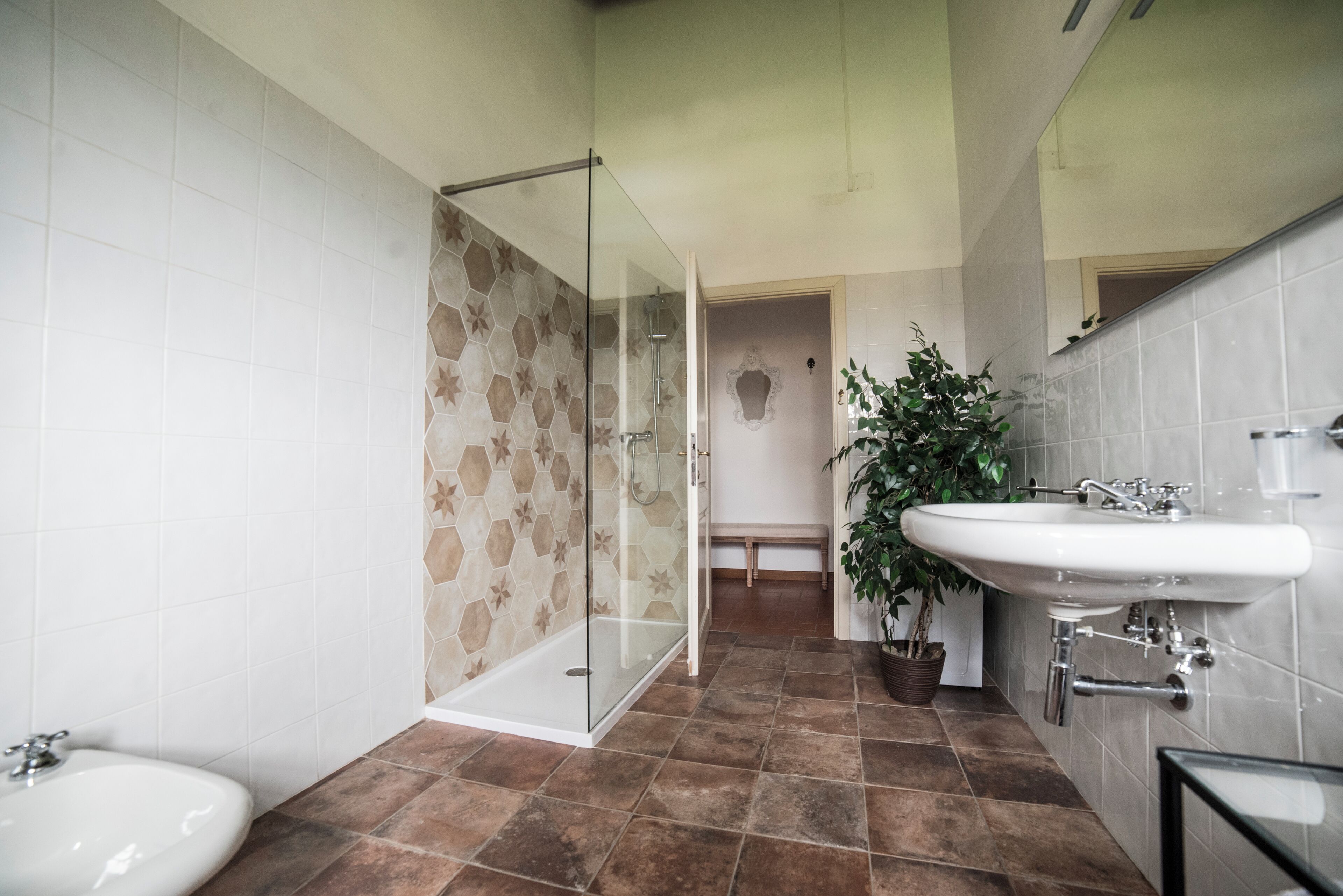 Un bagno con cabina doccia in vetro, un lavandino e una pianta in vaso.