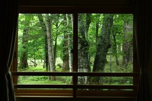 部屋からの景観