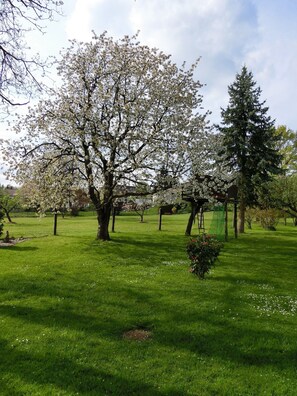 Garden - Ferienwohnung Singer (Schnaittach)