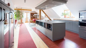 A modern kitchen with grey cabinets, a red carpet, and a skylight. - Peter-Anderl-Hof (Pfreimd)