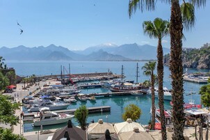 A marina with boats docked, surrounded by mountains and palm trees.