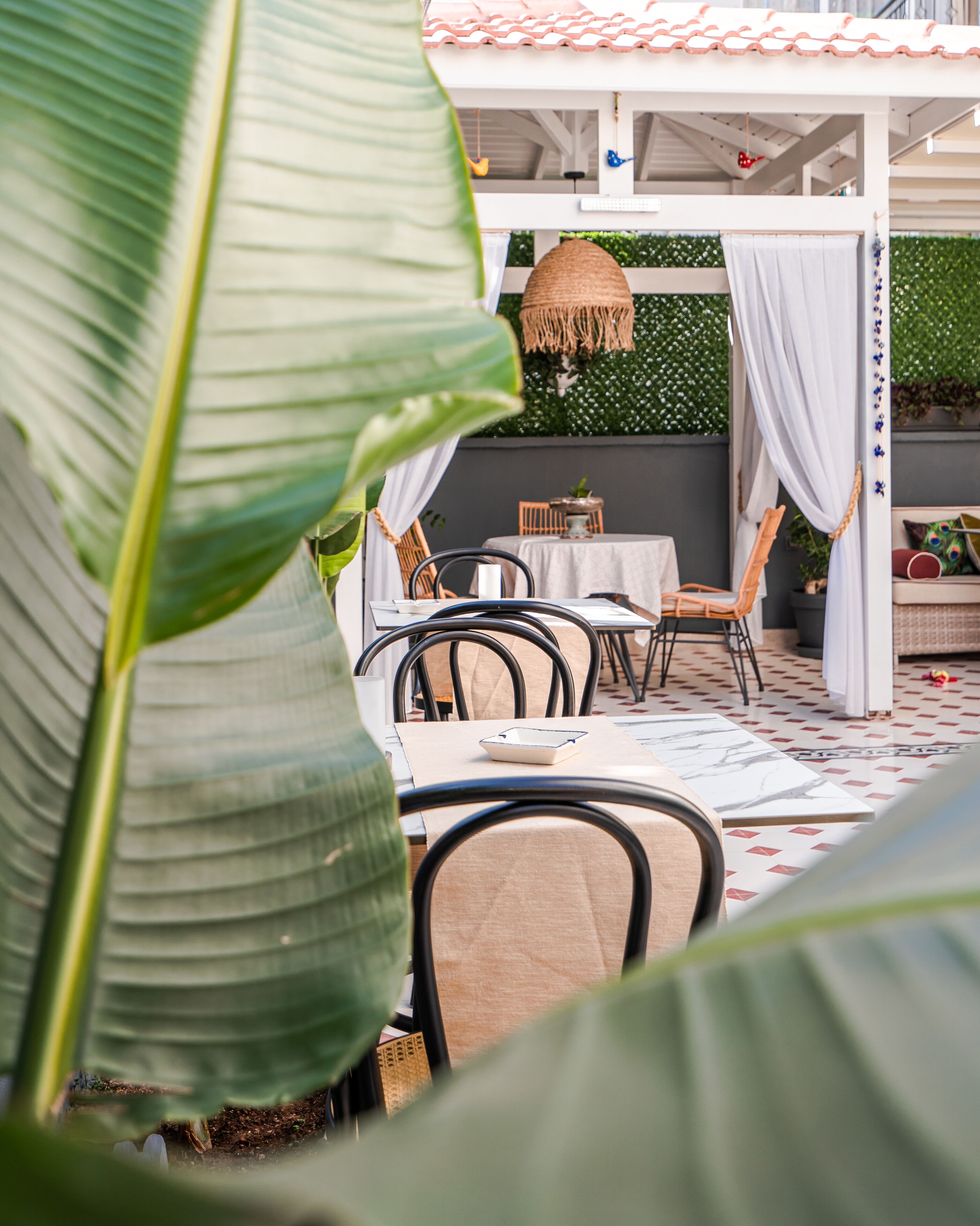 Foto - Kiana Kalei̇çi̇