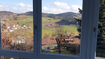 Apartment | View from room