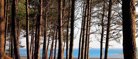 Una spiaggia nelle vicinanze