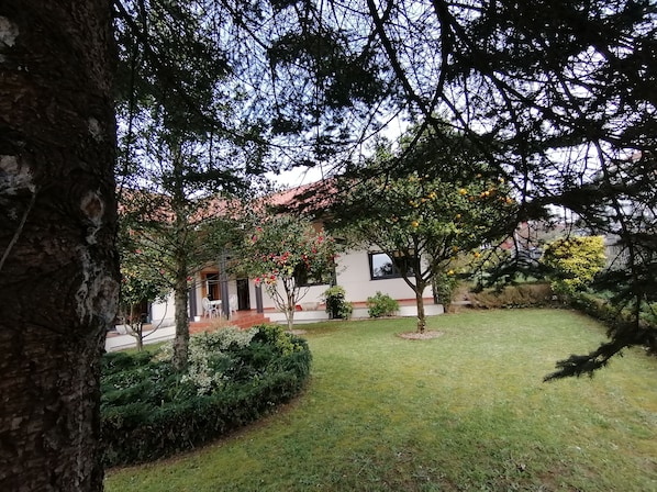 Esterni
