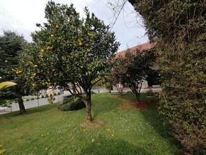 Parco della struttura