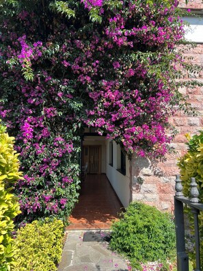 A covered walkway with a stone floor leading to a wooden door, surrounded by lush greenery and flowering plants.