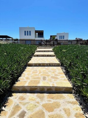 A stone pathway leading to a modern building with a wooden fence and greenery on either side.