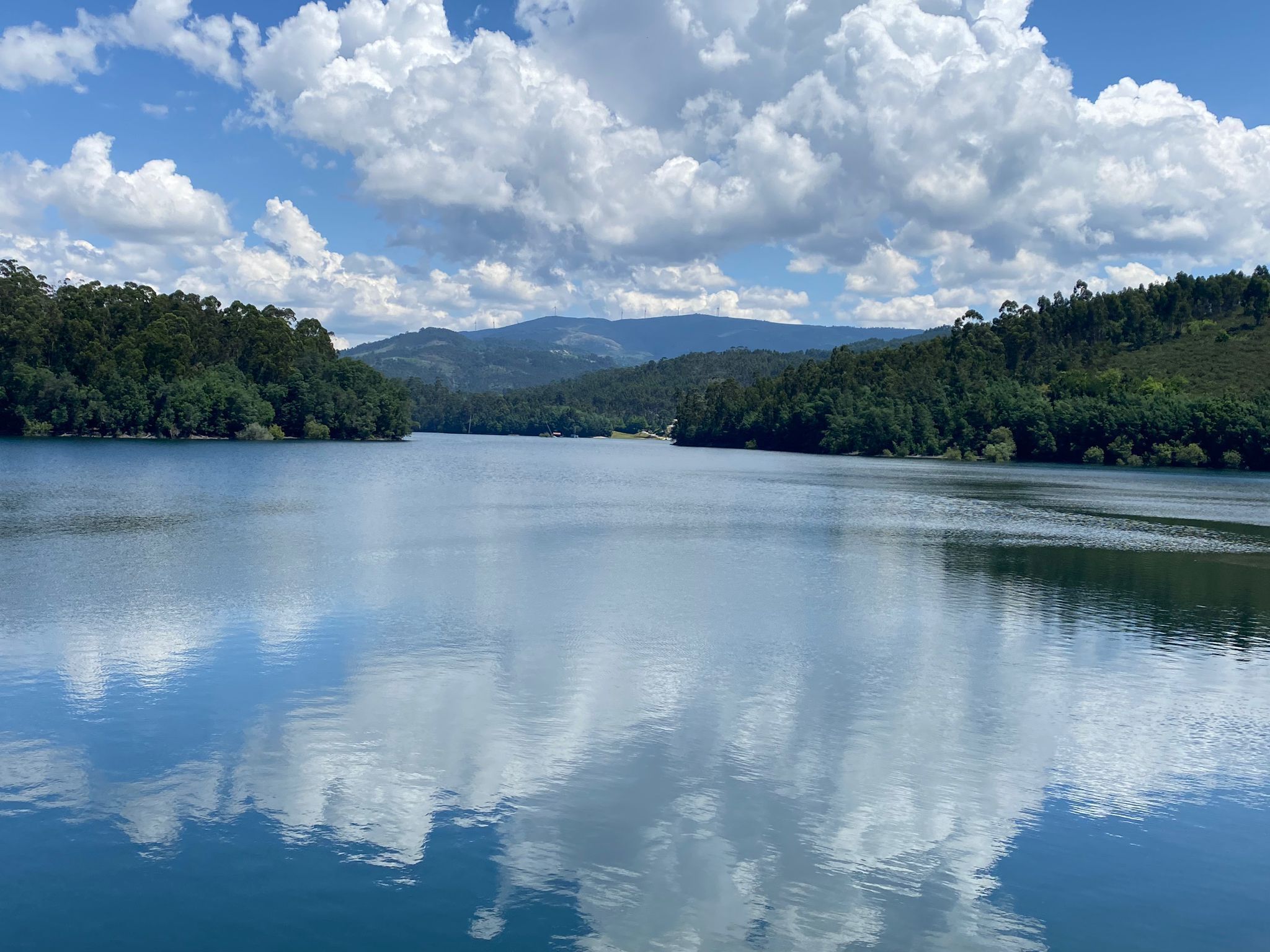 A calm lake with a forested shoreline and mountains in the background.