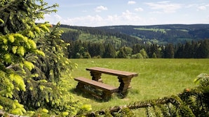A wooden picnic table in a grassy field with a forested hill in the background. - Ferienwohnung An den Kurwiesen (Masserberg)