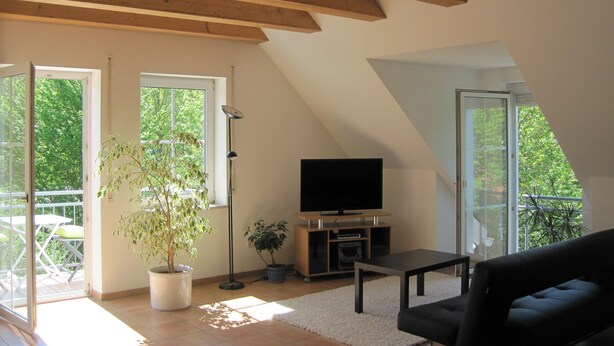 A modern living room with a TV, a sofa, and a potted plant. - Ferienwohnung Buhl (Regensburg)