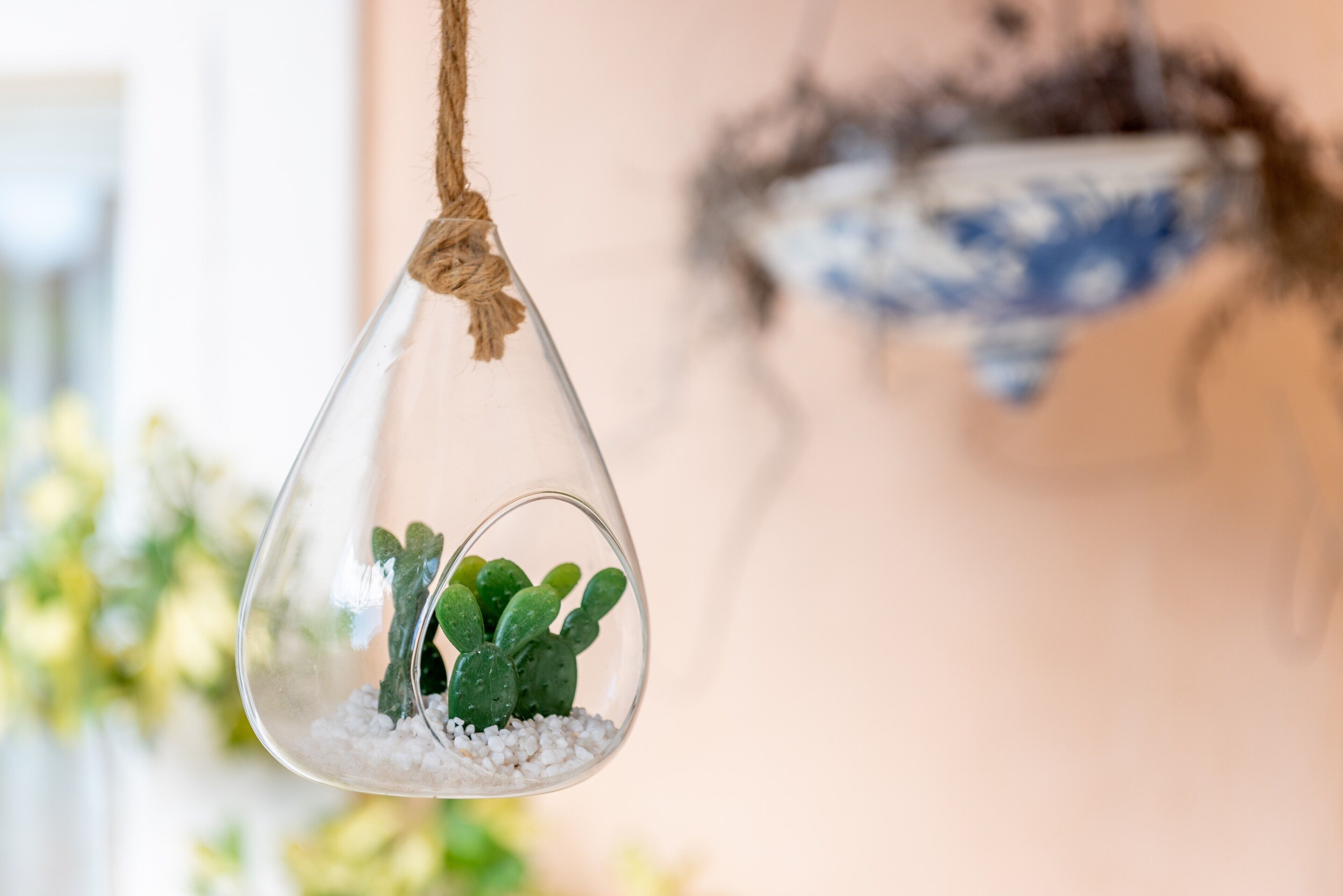 A hanging glass terrarium with a cactus plant.