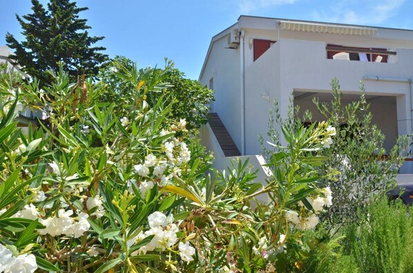 Exterior detail - Apartments Vlado, (16209), Povljana, hr (Povljana)