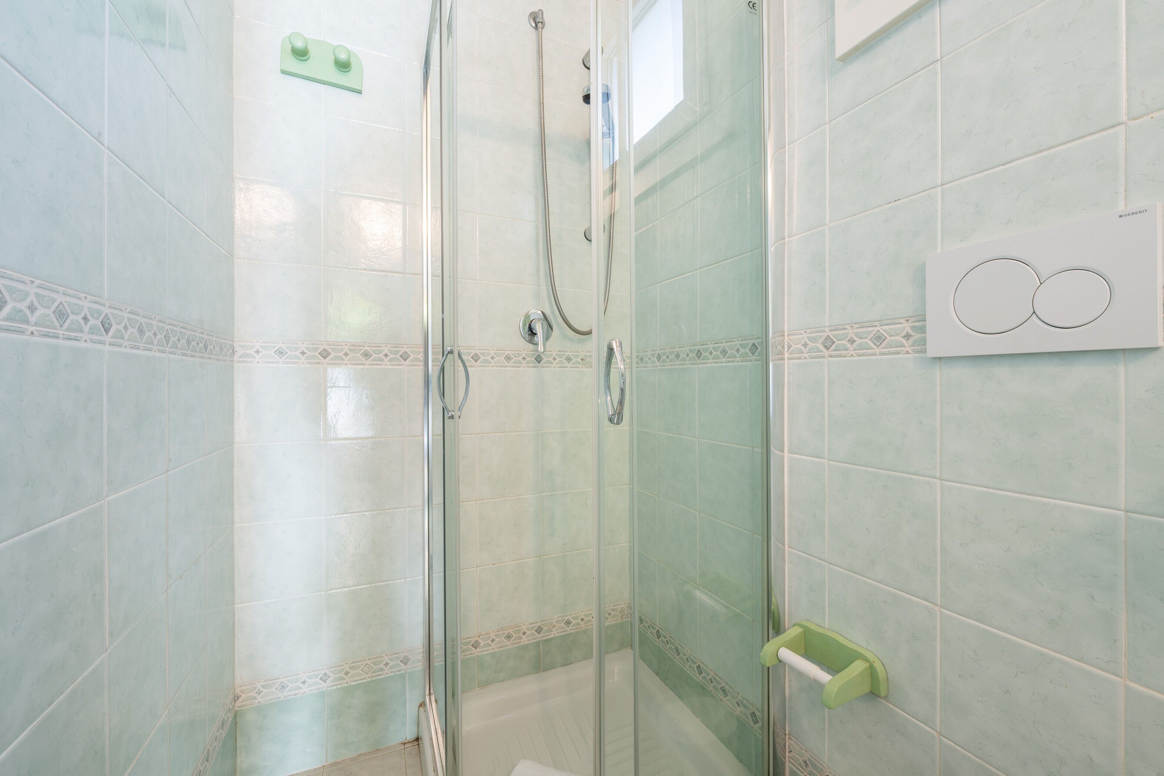 A glass-enclosed shower area with a handheld showerhead, a glass door, and a wall-mounted towel rack.