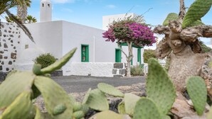 A white building with a green door and window, surrounded by cacti and a pink flowering tree. - Rustic Holiday Home "Casa Rural Tamia" with Terrace and Mountain View, Wi-Fi (Tao)