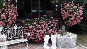 A covered porch with a bench, pink flowering plants, and two white angel statues. - Gerda's Ferienhäuser (Eppenschlag)