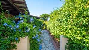 A stone pathway flanked by lush greenery and blue flowers leading to a traditional building with a tiled roof. - Holiday Home "Appartamento del Cormorano" Near the Beach and with & Air Conditioning (OLBIA)