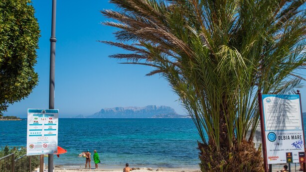 A beach with a palm tree, a signboard, and a clear view of the sea. - Holiday Home "Appartamento del Cormorano" Near the Beach and with & Air Conditioning (OLBIA)