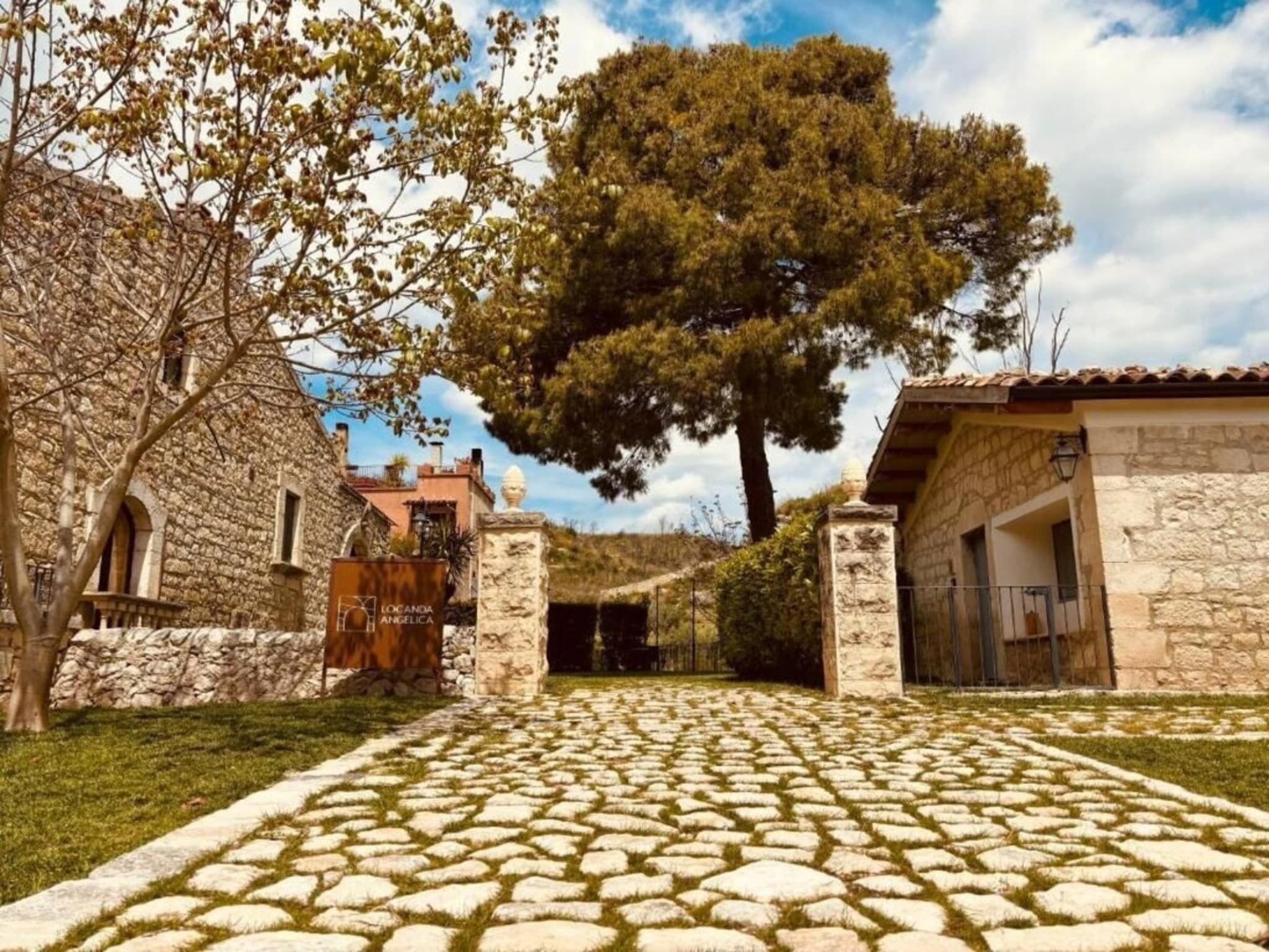 A stone pathway leading to a building with a large tree in the center.