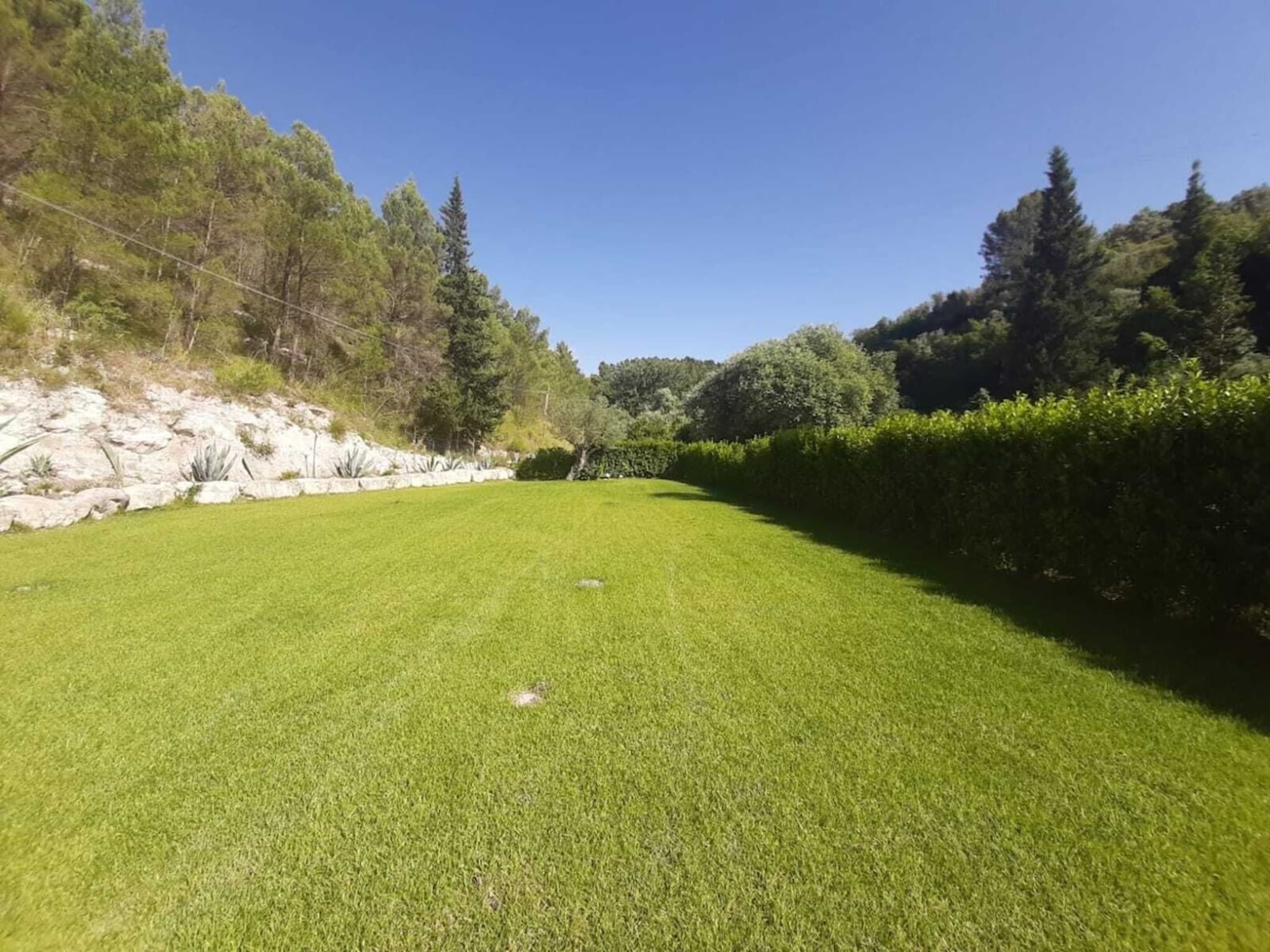 A well-maintained grassy lawn with a stone wall and dense trees in the background.