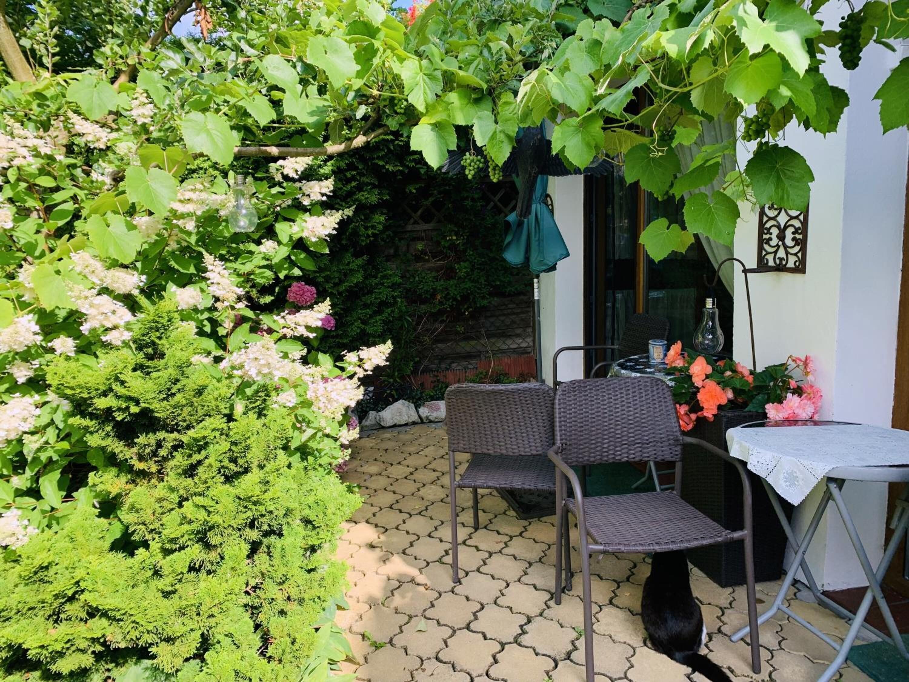 A patio with a table and chairs, surrounded by lush greenery and flowering plants.