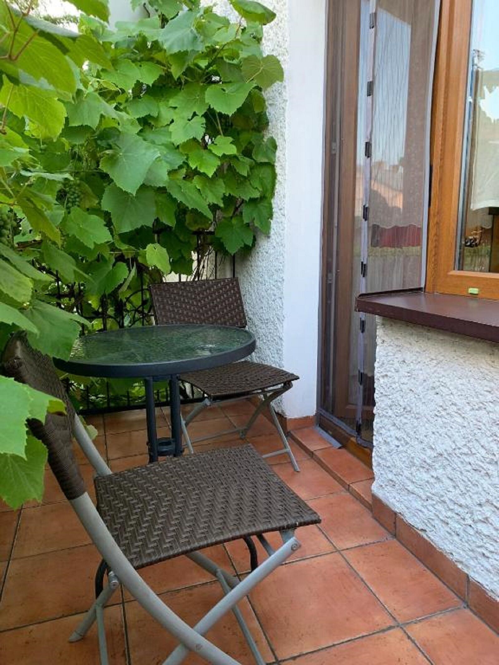 Un patio al aire libre con una mesa redonda y dos sillas, rodeado de abundante follaje verde.