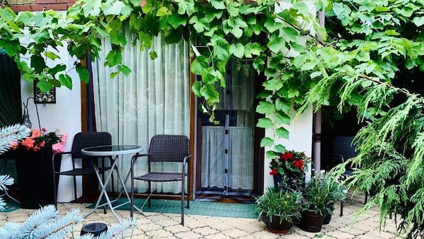 A patio area with a table and chairs, surrounded by potted plants and a vine-covered wall. - Willa Christo Dom z Dusza (Kolobrzeg)