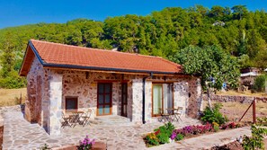 Vista desde la propiedad