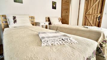 Classic Twin Room, Mountain View | Premium bedding, in-room safe, desk, soundproofing