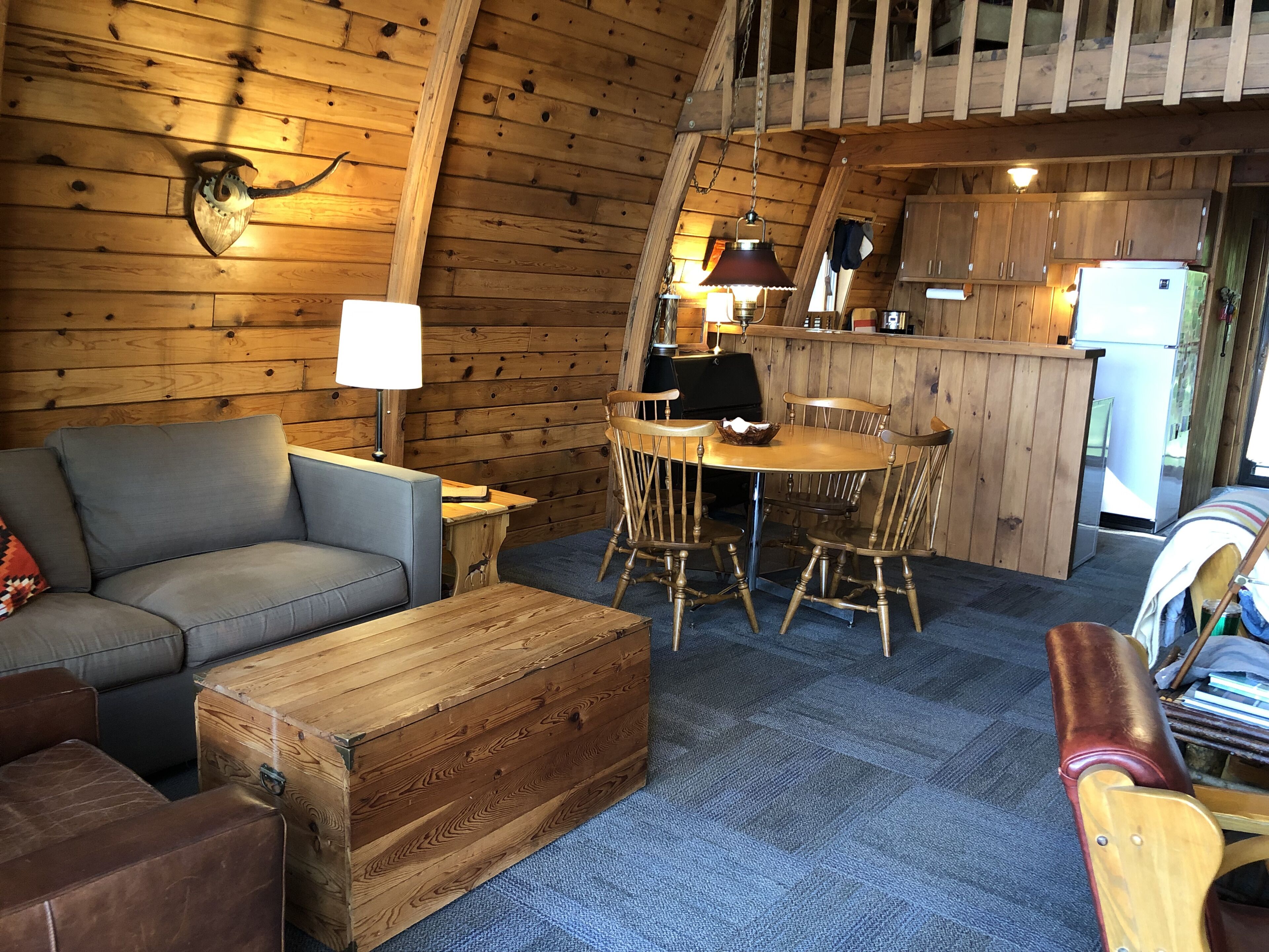 Smart TV, fireplace, books, music library