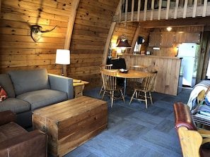 Smart TV, fireplace, books, music library