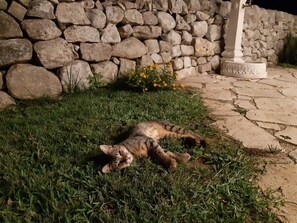 Parco della struttura