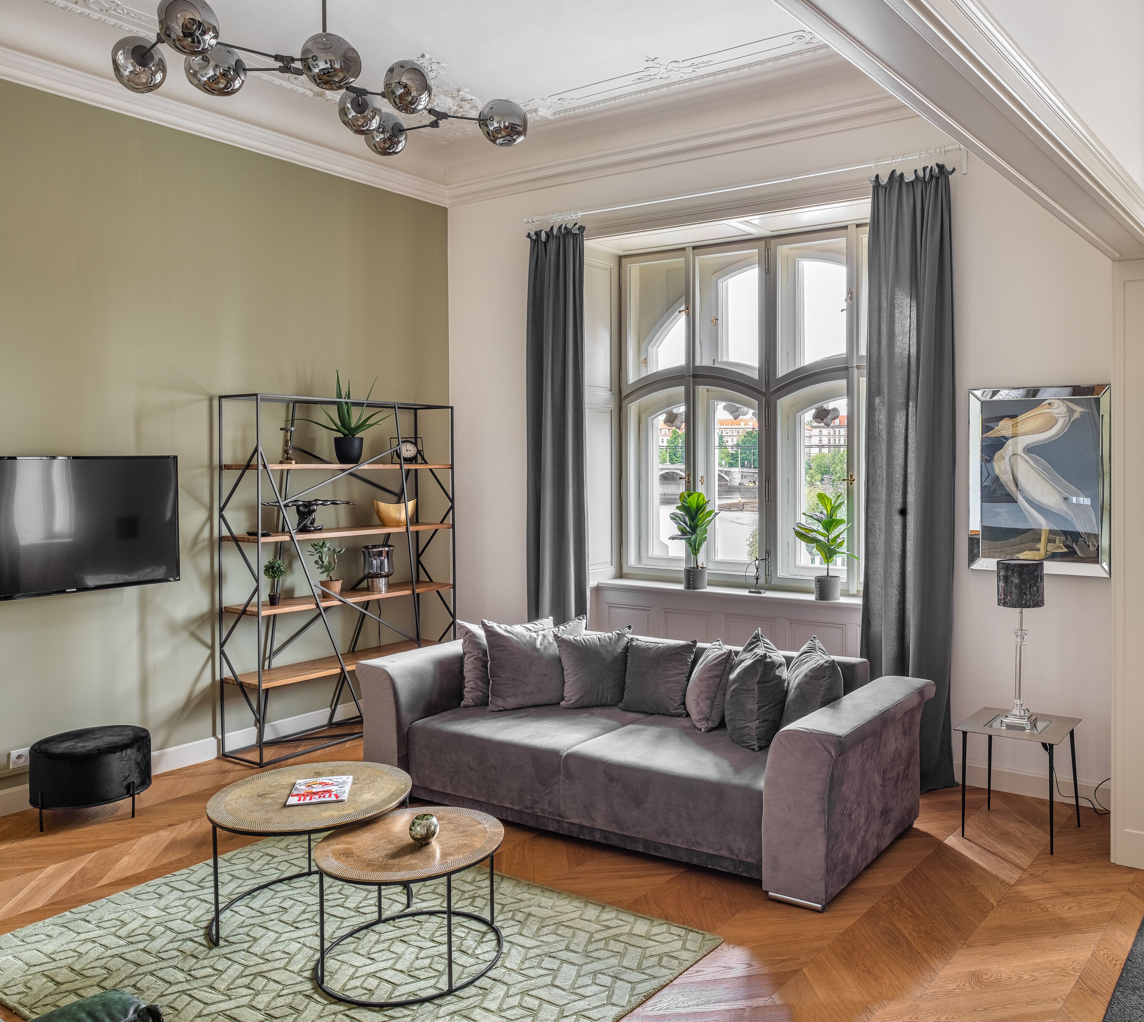 A living room with a grey sofa, a black TV, a plant shelf, and a window with curtains.