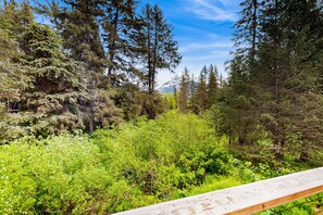 Property grounds - Quiet & contemporary cabin with spacious deck & mountain views - dogs welcome (Girdwood)