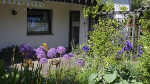Een gebouw met een tuin ervoor, met paarse en gele bloemen, een houten pergola en een raam.