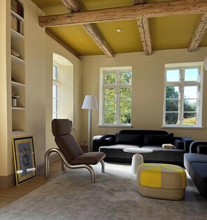 TV connectée, cheminée, livres, chaîne hi-fi