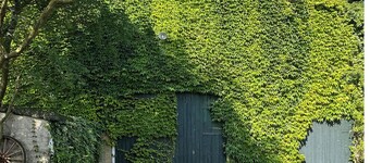 Entire Historic Captain's House - 6 Bedrooms