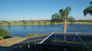 A view of a lake with a palm tree and a glass-enclosed area in the foreground.