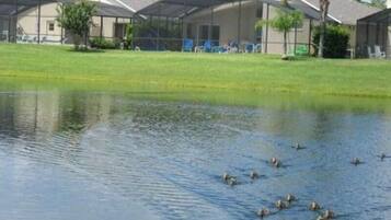 Villa, Multiple Beds (Ref 01 Stunning 4 Bed Villa with own ) | Lake view