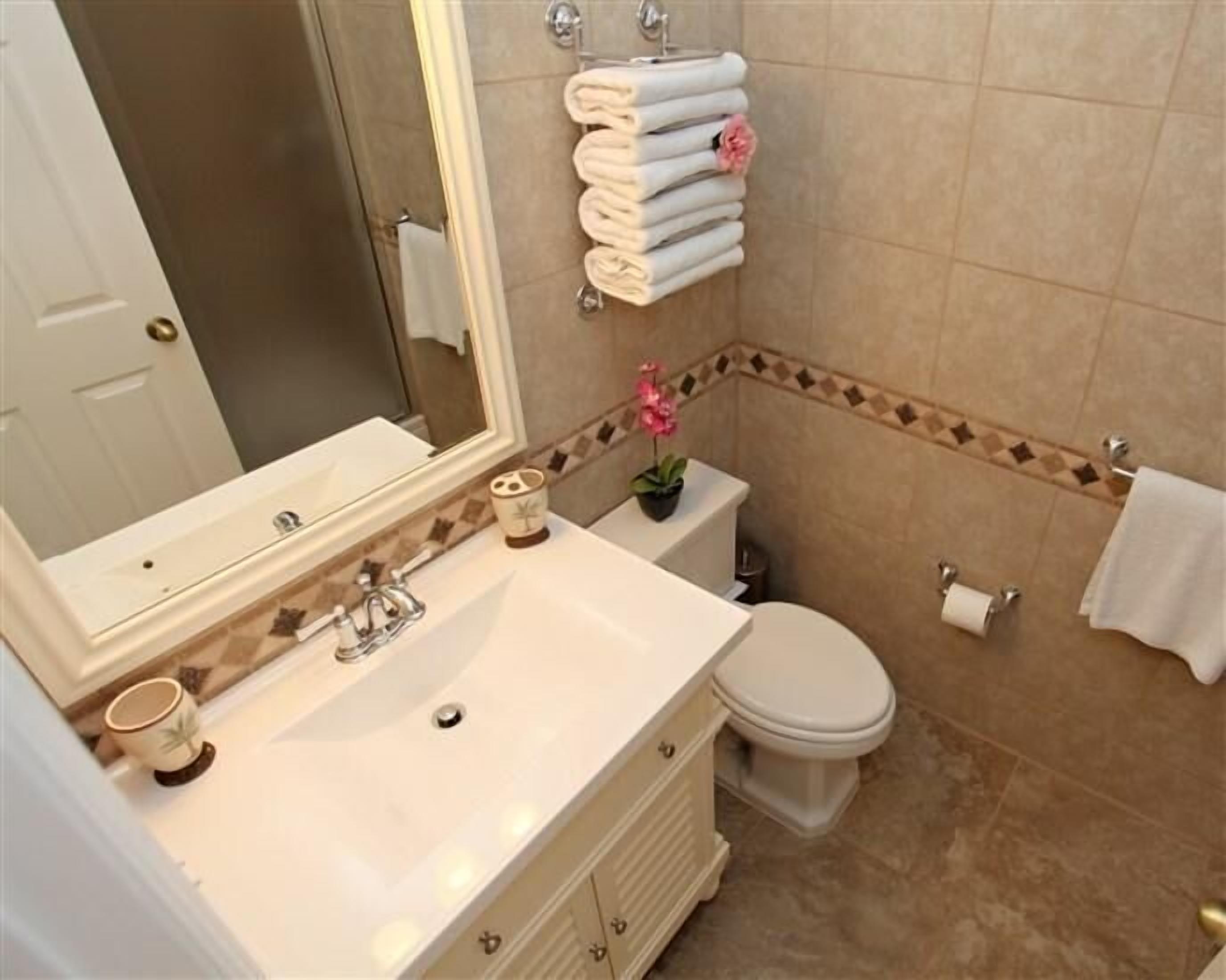 A bathroom with a white sink, a toilet, and a mirror. There are towels stacked on a rack and a potted plant on the sink.