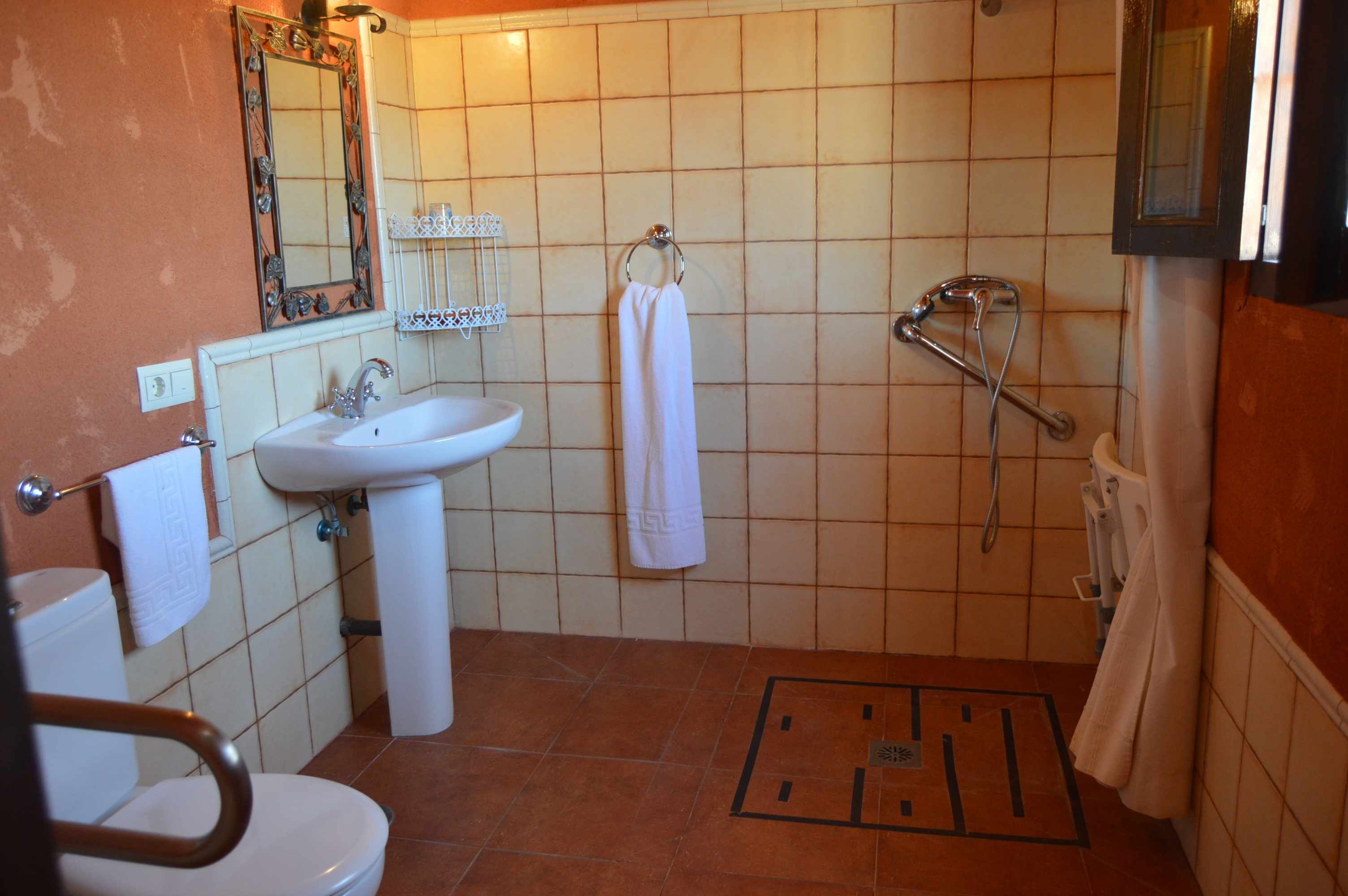 Une salle de bain équipée de toilettes, d’un lavabo, d’un miroir, d’un porte-serviettes et de barres d’appui.