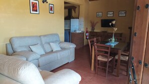 Televisión, chimenea y libros 