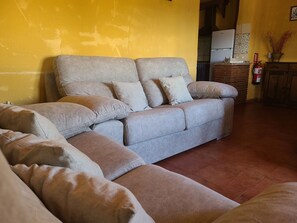 Televisión, chimenea y libros 