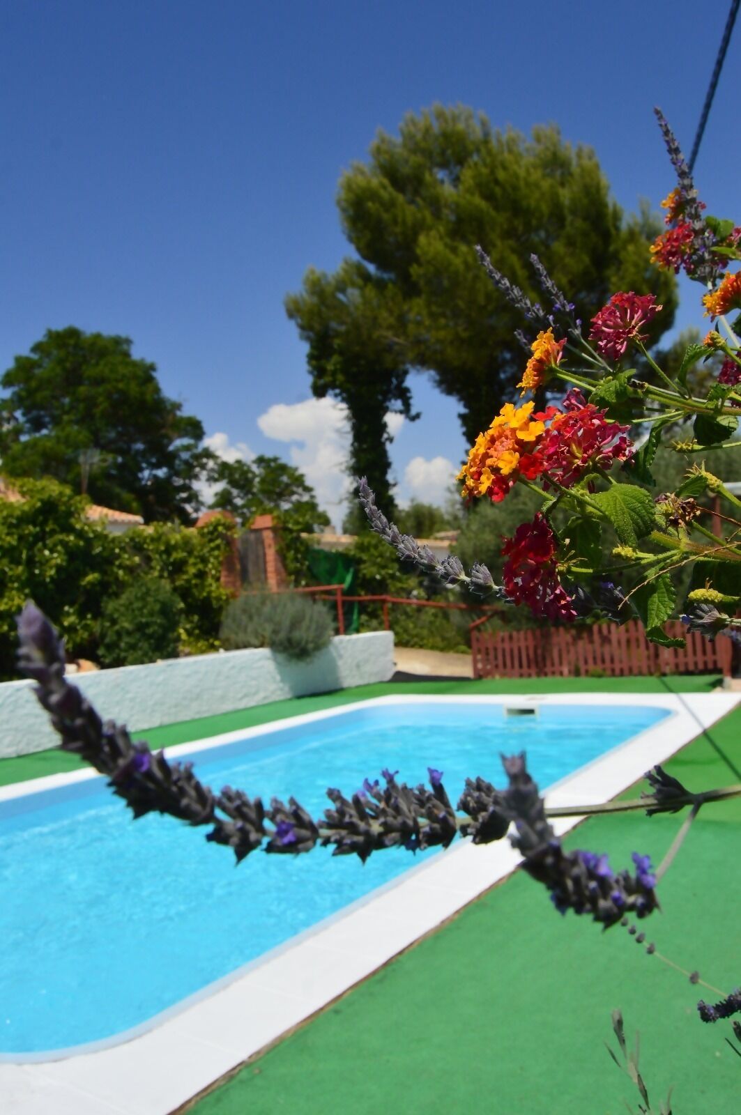 Jardines del alojamiento