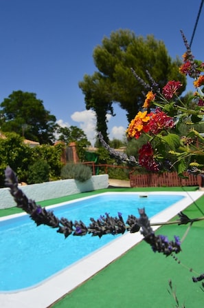 Piscina com superfície de água azul cristalina, rodeada por um gramado verde e uma cerca de madeira.
