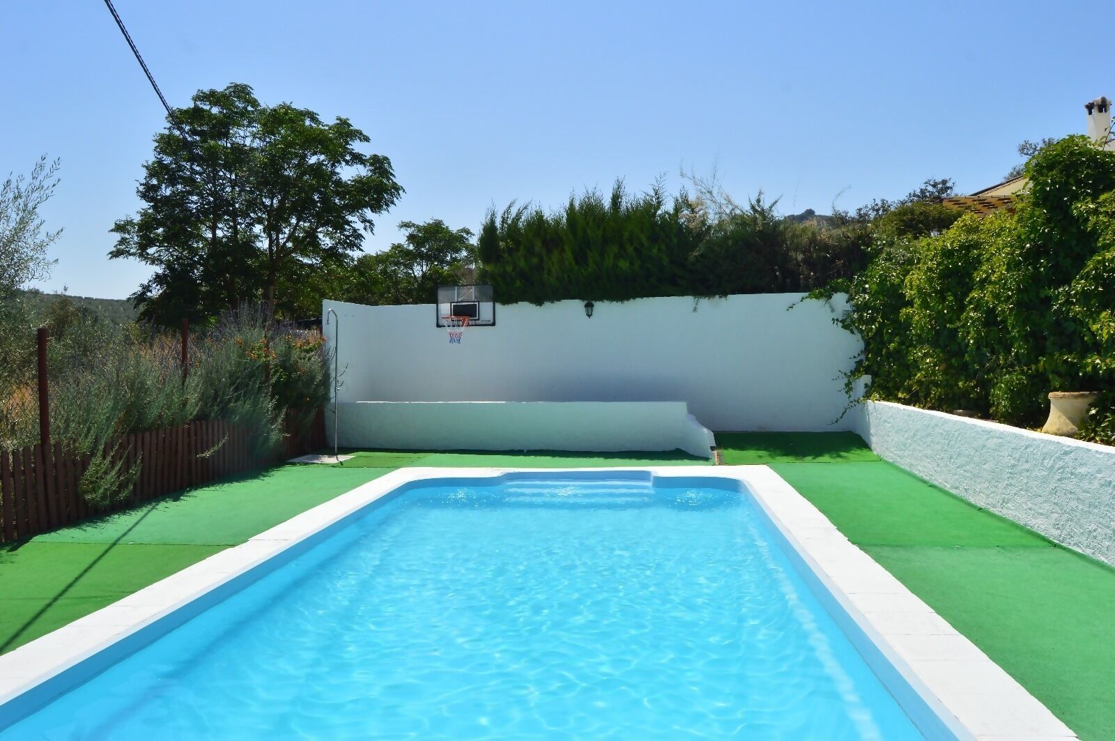 A rectangular swimming pool with clear blue water, surrounded by a white wall and green artificial turf.