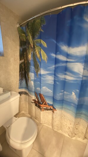 Combined shower/bathtub, hair dryer, towels, soap