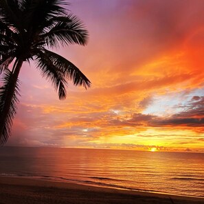 A sunset over a beach with palm trees.