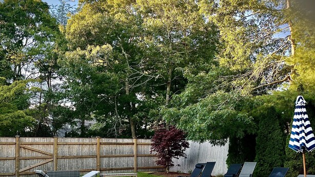 A swimming pool with lounge chairs and a wooden fence in the background.