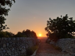 Exterior - Miccio - Independent apartment in a period farmhouse with swimming pool  (Rosolini)